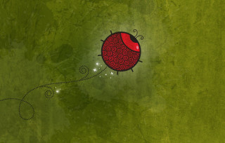 Red ladybug flying green field - desmond morris free wallpaper