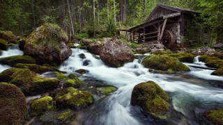 Forest stream rocks wooden structure - a stream free wallpaper