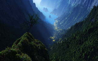 Valley tree mountains sky nature - a tree in the middle of it free wallpaper