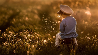 Boy blowing dandelions christmas night - a little boy free wallpaper