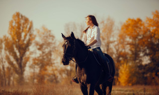 Woman horse field autumn fire - tall grass and trees free wallpaper