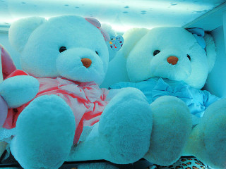 Teddy bears shelf store window - color scheme free wallpaper