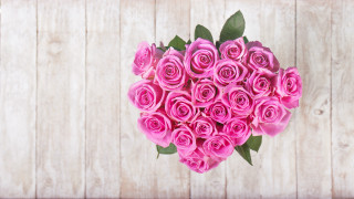 Heart shaped pink roses white - pink rose free wallpaper