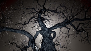 Bare tree full moon snow - backlight free wallpaper