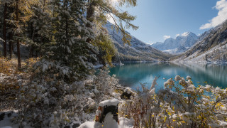 Snowy mountain lake winter forest - tree and bushes free wallpaper