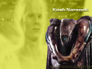 Woman snake purse yellow background - daryush shokof free wallpaper