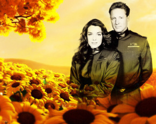 Man woman sunflower field yellow - a yellow sky in the background free wallpaper