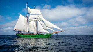 Green sailboat ocean cloudy day - evaline ness free wallpaper