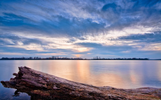 Tree trunk water sunset clouds - a tree trunk free wallpaper
