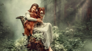 Woman dog forest fog photorealistic - her lap free wallpaper
