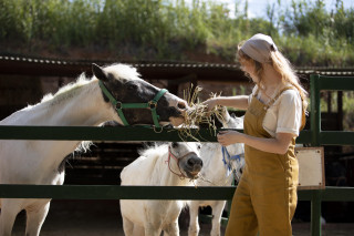 Woman horse hay corral building - david teniers iii free wallpaper