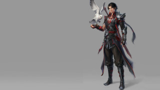 Woman bird armor sword fantasy - chen chun free wallpaper