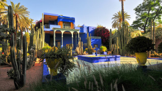 Blue house fountain cactus trees - a garden area free wallpaper