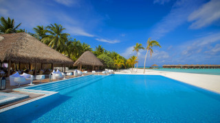 Luxury beach pool palm trees - a large pool free wallpaper for desktop