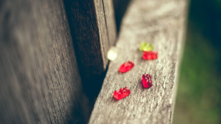 Wooden bench gummy bears green - gummy free wallpaper