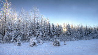 Snowy landscape trees sunbeam clouds - a sunbeam in the distance free wallpaper