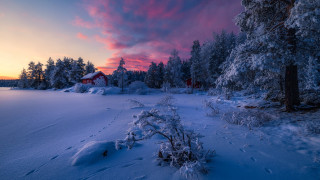 Snowy red house trees pink - beautiful landscape free wallpaper