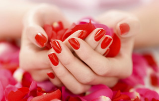 Woman hands red manicures flowers - rich free wallpaper