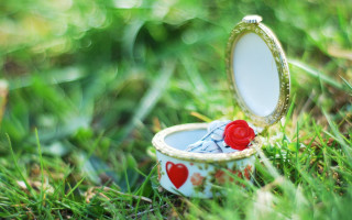 Small box red rose mirror - whimsical free wallpaper