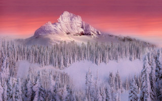 Snowy mountain pink sky trees - a pink sky free wallpaper