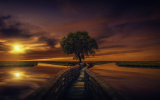 Tree dock sunset reflection water - arthur pan free wallpaper