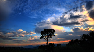 Silhouetted tree cloudy sky sunset - colorful cloud free wallpaper