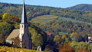 Church steeple autumn village trees - fall vibrancy free wallpaper