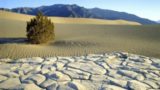 Lone tree desert mountains rock - ansel adams free wallpaper for desktop