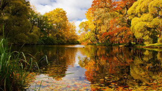 Autumn lake trees leaves sky - the water and a sky background free wallpaper