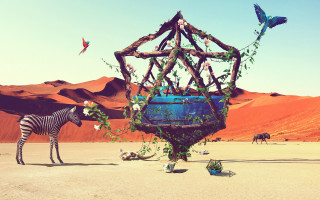 Zebra desert sculpture bird cage - a zebra free wallpaper