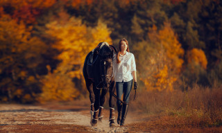 Woman horse dirt road woods - the background and a woman free wallpaper
