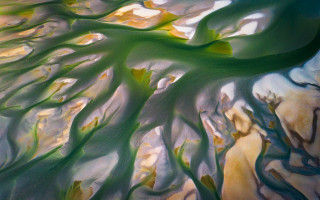 Tree green leaves sky clouds - cloud and water free wallpaper