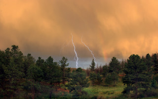 Large cloud lightning forest thunderstorm - thunderstorm free wallpaper