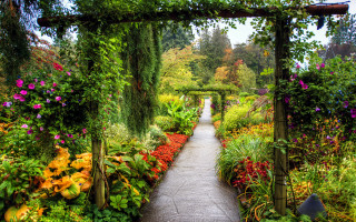 Garden paths flower tunnel autumn - a pathway free wallpaper