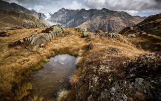 Small stream grassy field snowy - a small stream free wallpaper