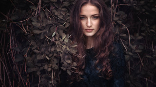 Woman longhair bush leaves portrait - a bush free wallpaper for desktop