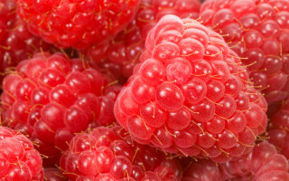 Raspberries water droplets macro photorealism 4 - raspberry free wallpaper