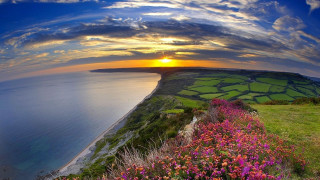 Sunset grassy hill flower lake - free summer wallpaper for desktop