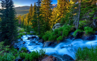 Mountain forest stream sunset blue - the mountain free wallpaper