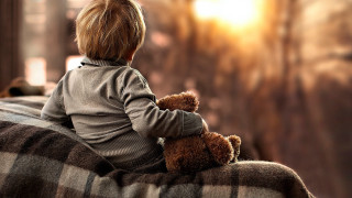 Boy sitting on couch with - a little boy free wallpaper