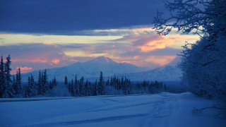 Snowy road mountain sunset pink - tree and a mountain in the background free wallpaper