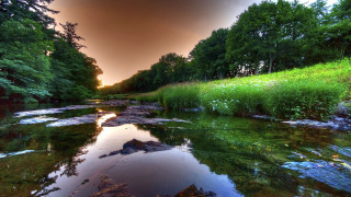River grassy bank trees sunset - a dark sky free wallpaper