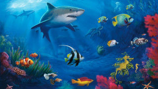 Shark corals fantasy ocean bubble - other fish free wallpaper