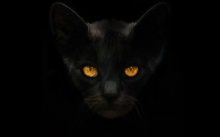 Black cat yellow eyes gothic 5 - a black cat free wallpaper