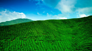 Green hill blue sky clouds 5 - a green hill free wallpaper