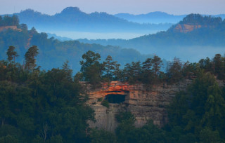 Mountain cave forest fog sunset - fog in the air free wallpaper