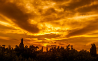 Sunset clouds trees yellow sky - cloud and trees free wallpaper