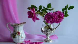 Vase flowers silver pink roses - a table cloth free wallpaper