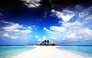 Deserted beach palm tree island - cloud above free wallpaper