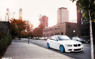 White car road tree city - gradient light blue free wallpaper